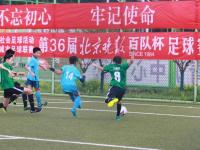 韩国VS捷克直播_韩国VS捷克免费高清在线直播_韩国VS捷克免费直播视频直播